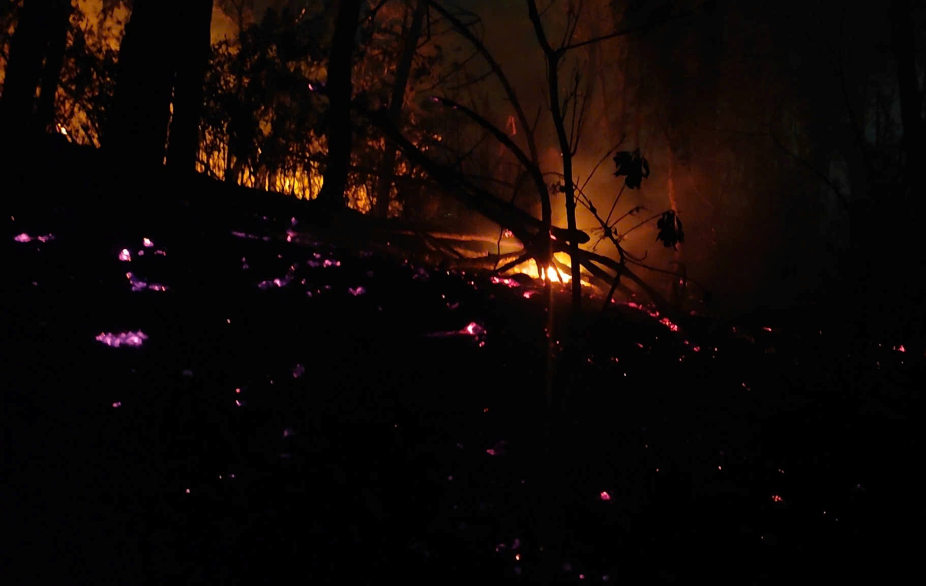 Thông tin về vụ cháy rừng núi Cột Cờ trên địa bàn phường Bắc Hà, quận Kiến An